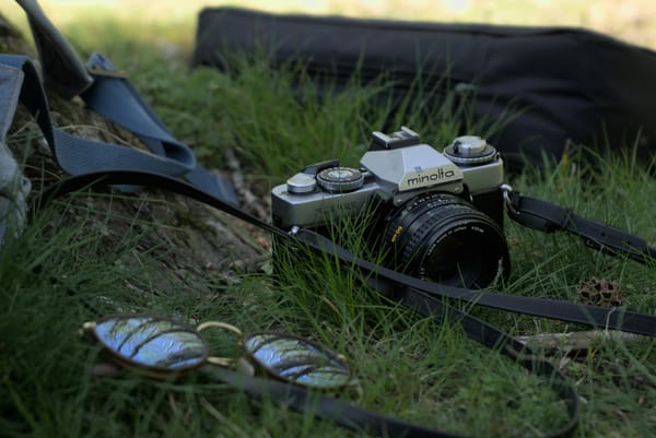 A Minolta camera lays in the grass with a neck strap.  laying to the left are a pair of seeing eye glasses.  In the distance behind is a carrying case.