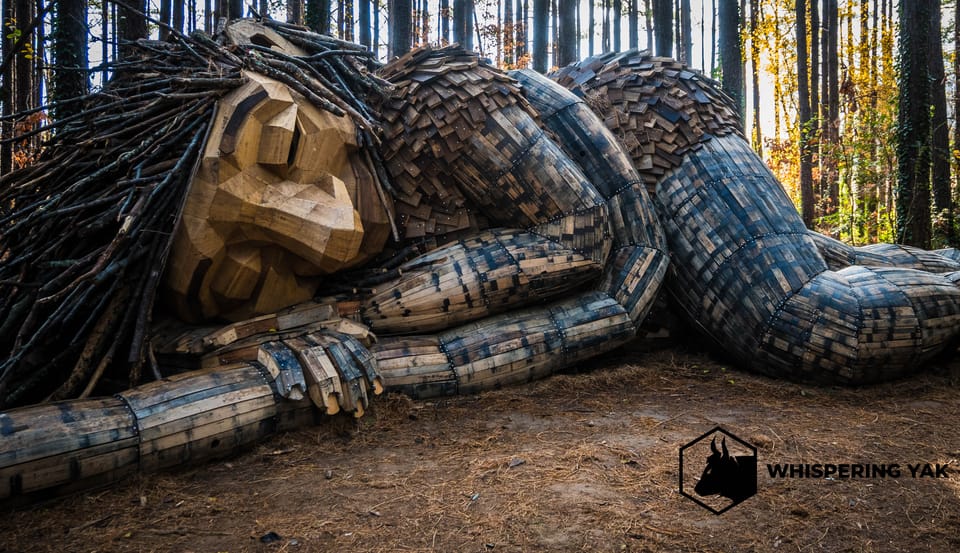 Things to do in NC: A Troll-Tale Walk Through Dorothea Dix Park in Raleigh, NC