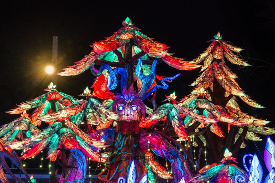 The Glow Returns: Chinese Lantern Festival Comes to Cary